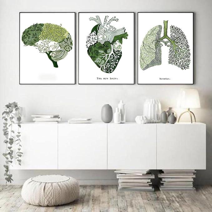 Set de 3 Tablouri Canvas, Modele Anatomice in forma de Inima, Creier si Plamani, Verde, Fara rama, VELICO®