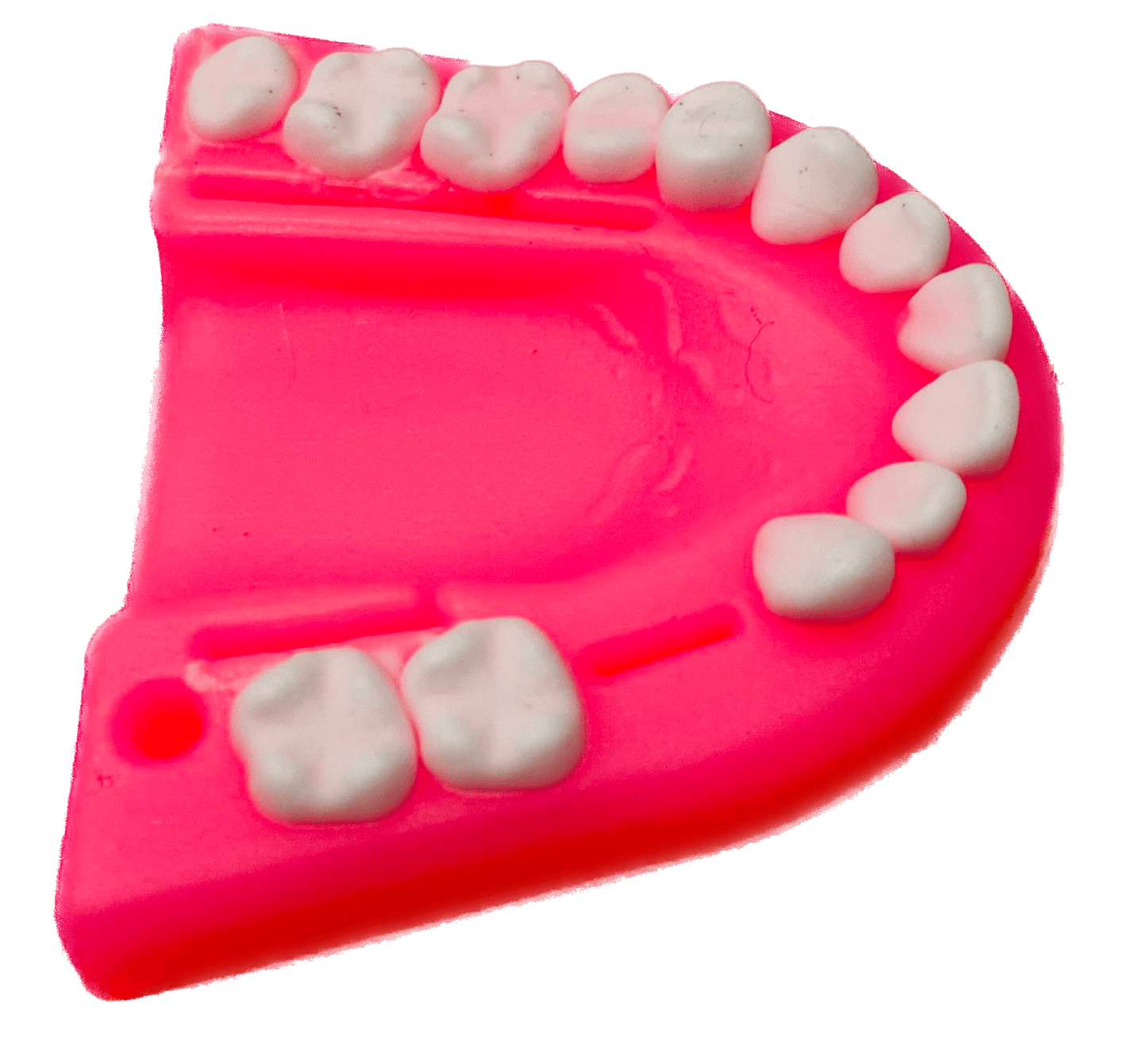 Mulaj sutura dentara cu dinti albi, din silicon, Suture Expert