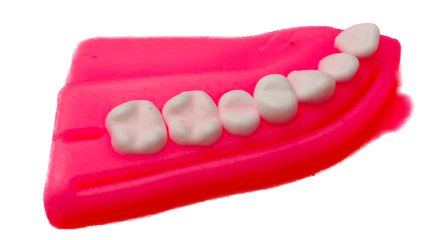 Mulaj sutura dentara cu dinti albi, din silicon, Suture Expert