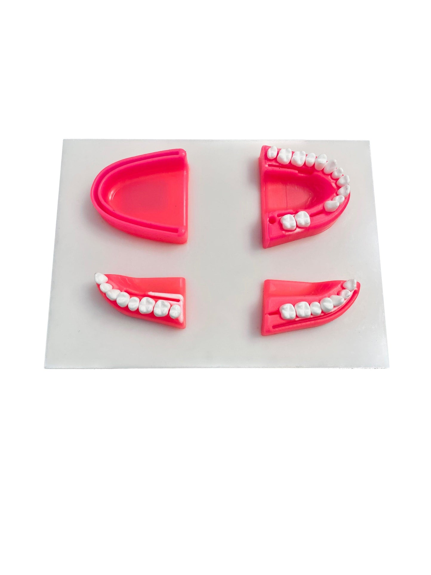 Suport sutura dentara, Suture Expert