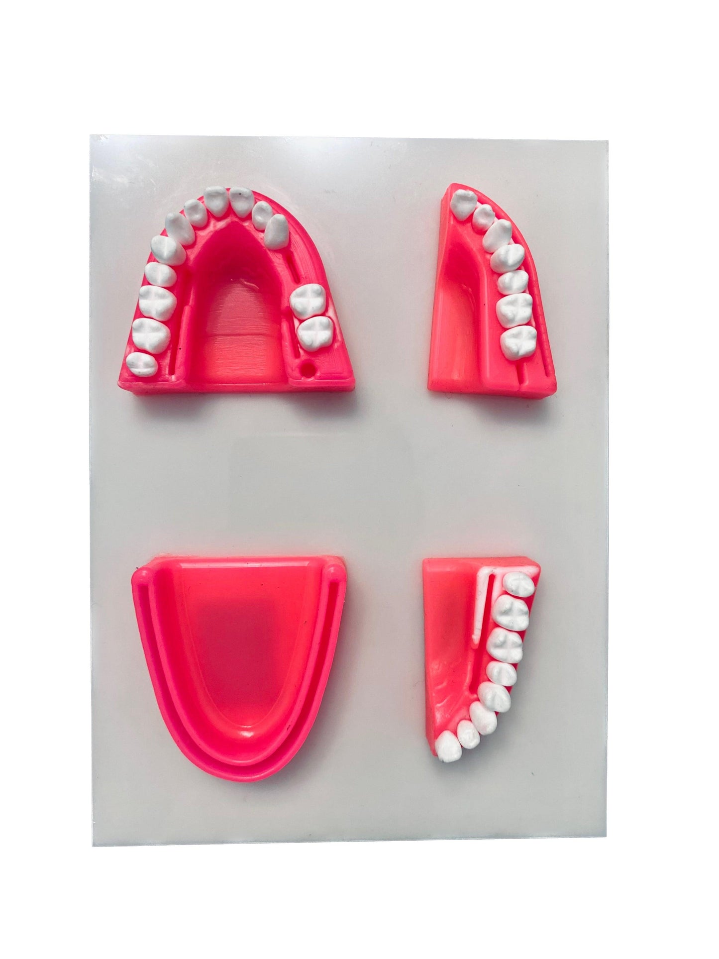 Suport sutura dentara, Suture Expert