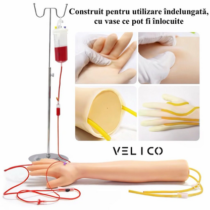Kit Profesional Complet de Practica pentru Recoltare de Sange, Administrare Terapie intravenoasa, cu Geanta de Transport Inclusa