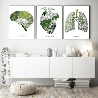 Set de 3 Tablouri Canvas, Modele Anatomice in forma de Inima, Creier si Plamani, Verde, Fara rama, Dimensiune 30 x 40 cm, VELICO®