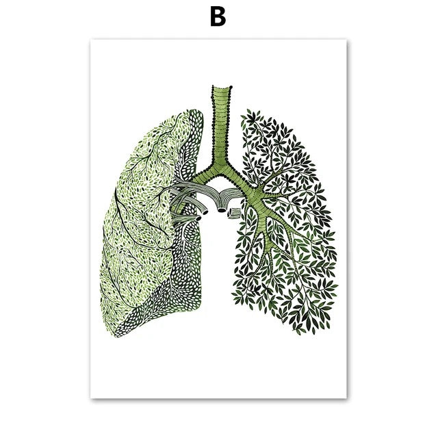 Set de 3 Tablouri Canvas, Modele Anatomice in forma de Inima, Creier si Plamani, Verde, Fara rama, Dimensiune 30 x 40 cm, VELICO®