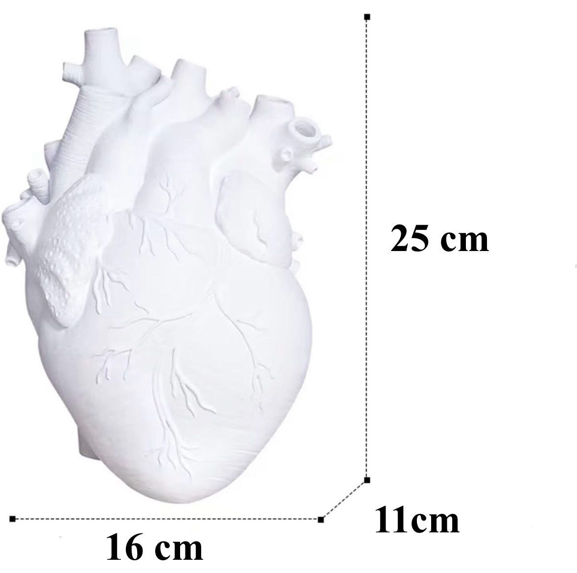 Vaza decorativa in forma de inima anatomica, Alba, Inaltime 25 cm